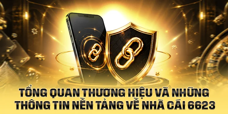 Tổng quan thương hiệu và những thông tin nền tảng về nhà cái 6623